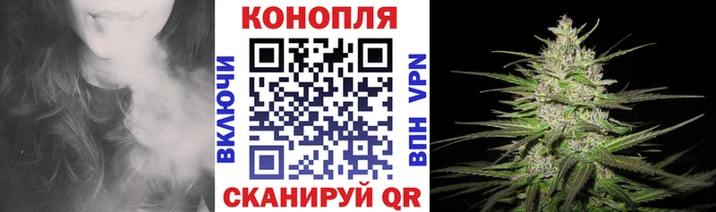 Конопля SATIVA & INDICA  Купить где  Агидель 